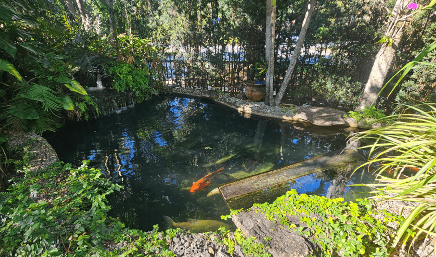 Pond Installation